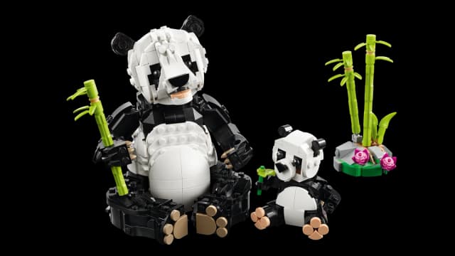 Wild Animals: Panda Family - Image 4