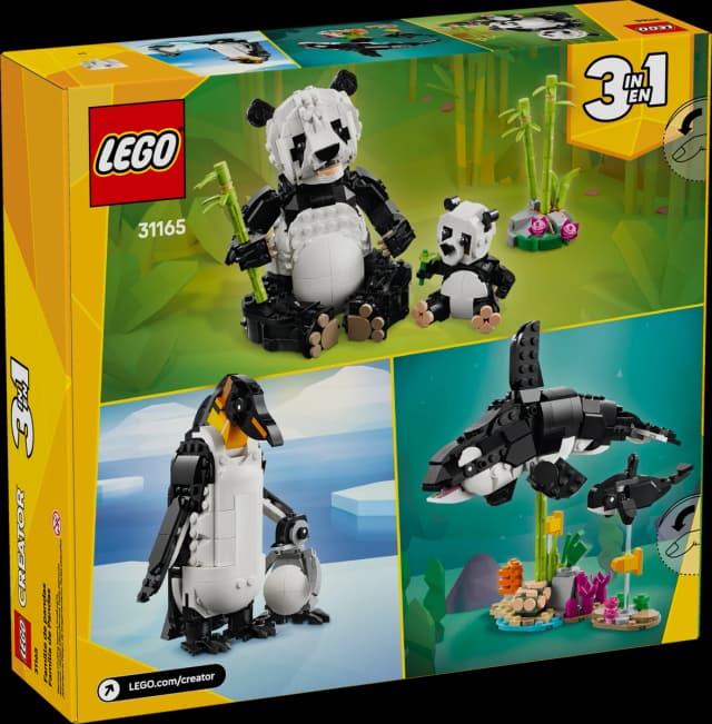 Wild Animals: Panda Family - Image 2