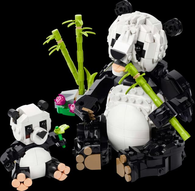 Wild Animals: Panda Family - Image 1