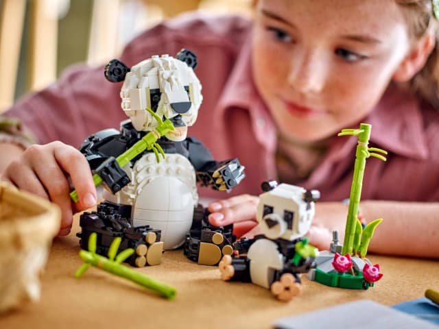 Wild Animals: Panda Family - Image 6