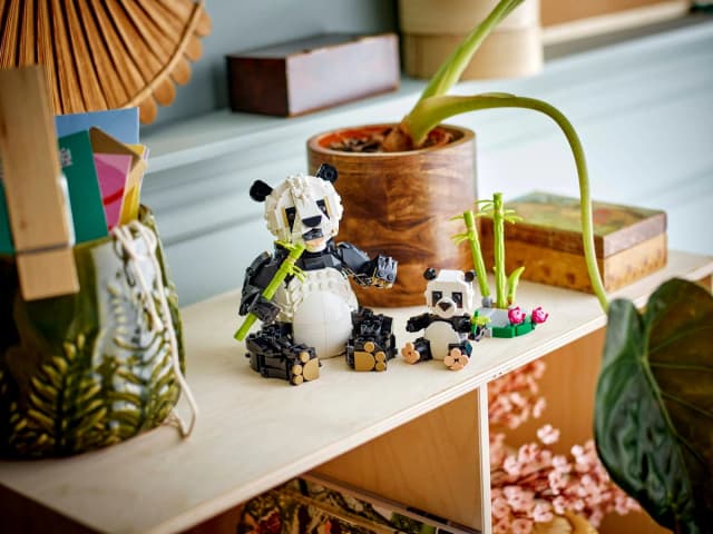 Wild Animals: Panda Family - Image 9