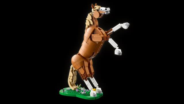 Beautiful Horse - Image 3
