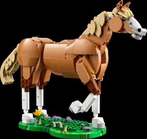Beautiful Horse