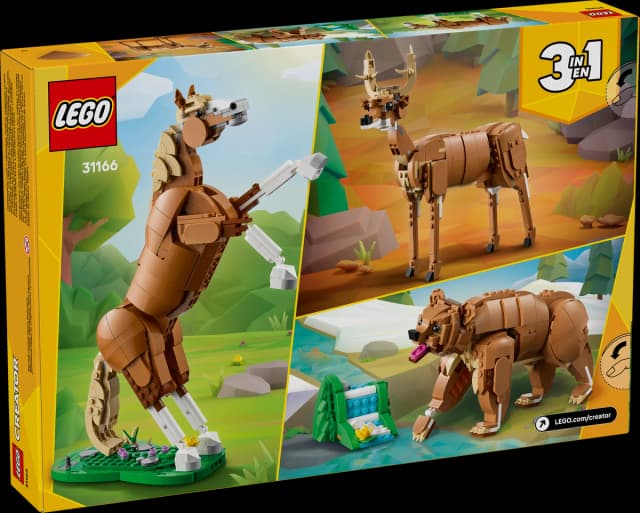 Beautiful Horse - Image 9