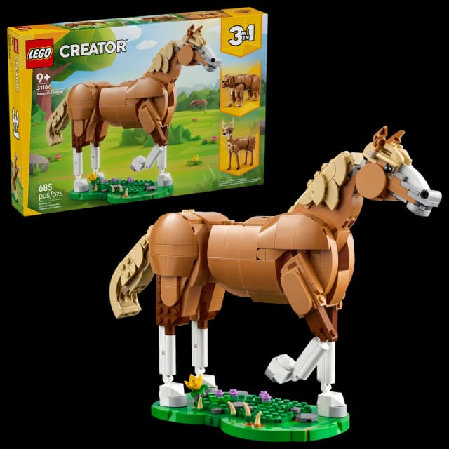 Beautiful Horse - Image 7