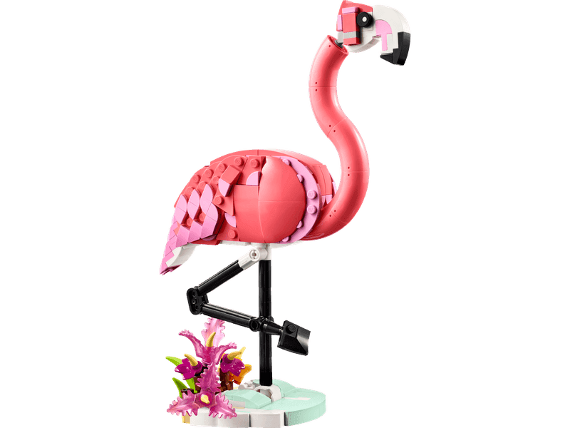 Wild Animals: Pink Flamingo