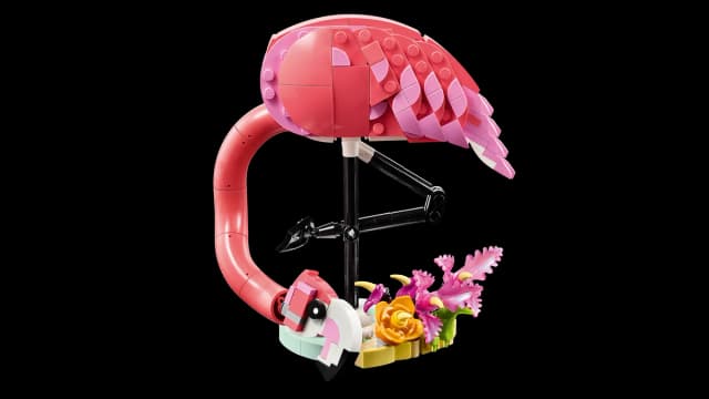 Wild Animals: Pink Flamingo - Image 7