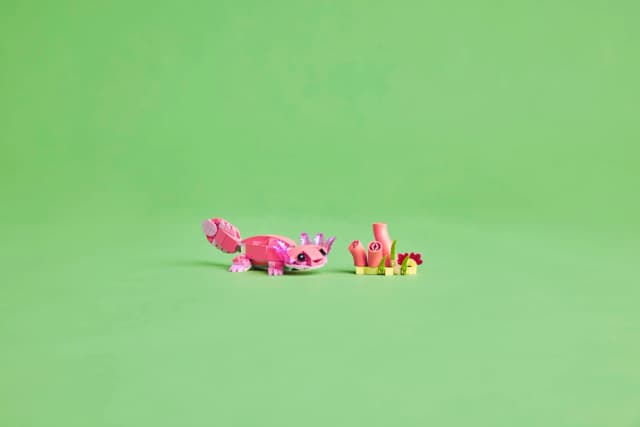 Wild Animals: Pink Flamingo - Image 10