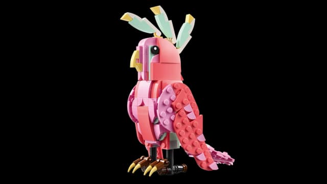 Wild Animals: Pink Flamingo - Image 8