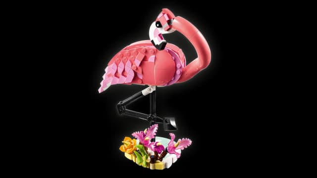 Wild Animals: Pink Flamingo - Image 12