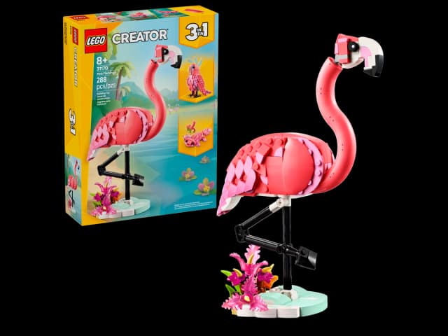 Wild Animals: Pink Flamingo - Image 2