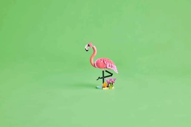 Wild Animals: Pink Flamingo - Image 9