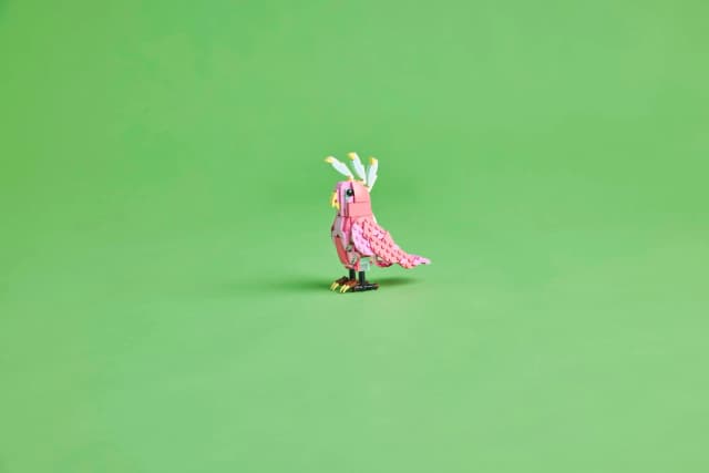 Wild Animals: Pink Flamingo - Image 11