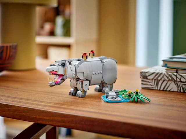 Wild Animals: Majestic Rhino with Birds - Image 1