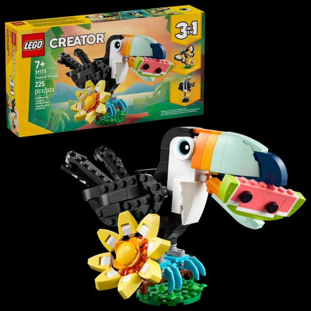 Wild Animals: Tropical Toucan - Image 2