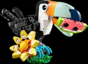 Wild Animals: Tropical Toucan