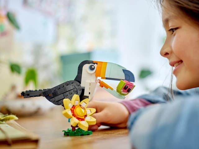 Wild Animals: Tropical Toucan - Image 3