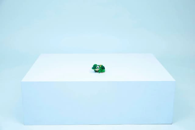 Turtle with a Water Lily Flower - Image 7