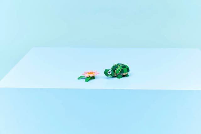 Turtle with a Water Lily Flower - Image 5