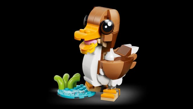 Cute Animals: Playful Puppy Dog - Image 10