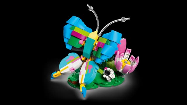 Wild Animals: Colorful Hummingbird - Image 11