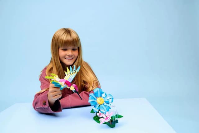 Wild Animals: Colorful Hummingbird - Image 6