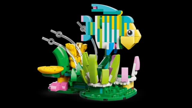 Wild Animals: Colorful Hummingbird - Image 12