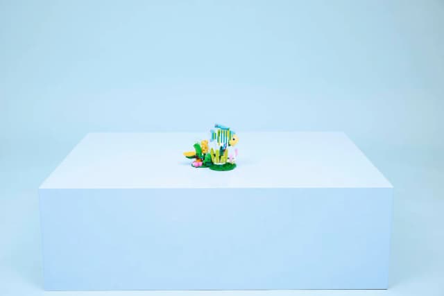 Wild Animals: Colorful Hummingbird - Image 9