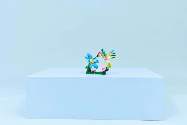 Wild Animals: Colorful Hummingbird - Image 7