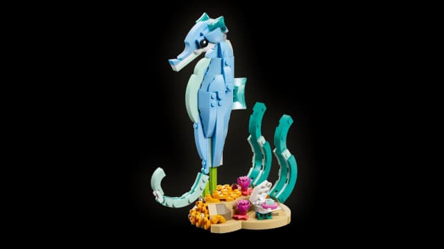 Sea Animals: Beautiful Dolphins - Image 12