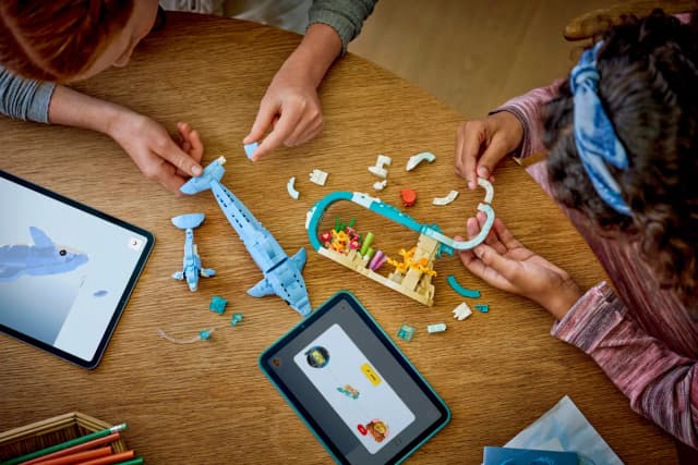 Sea Animals: Beautiful Dolphins - Image 3