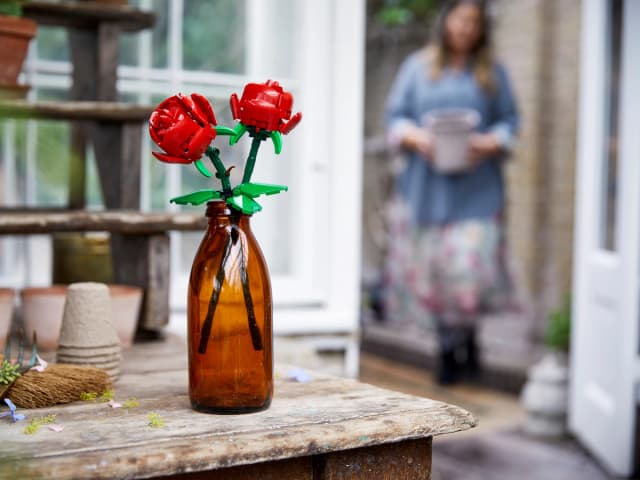 Roses - Image 4