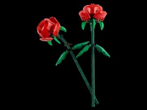 Roses