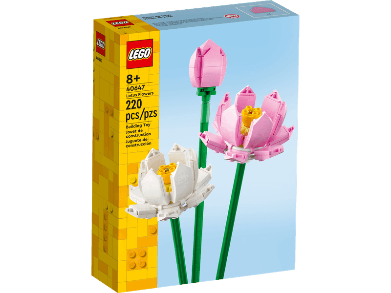 Lotus Flowers