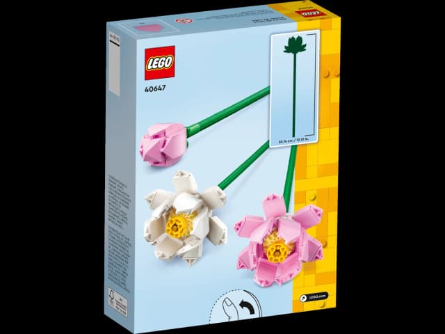 Lotus Flowers - Image 2