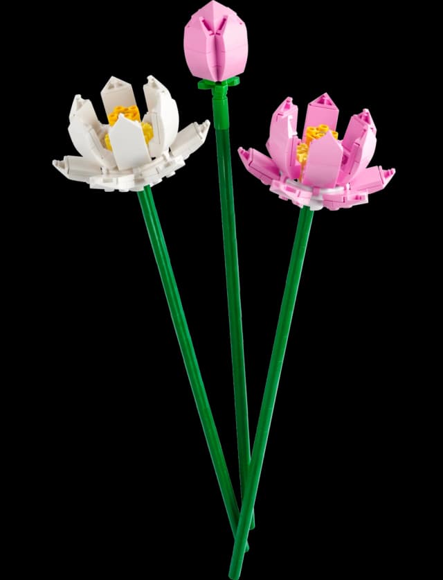 Lotus Flowers - Image 3