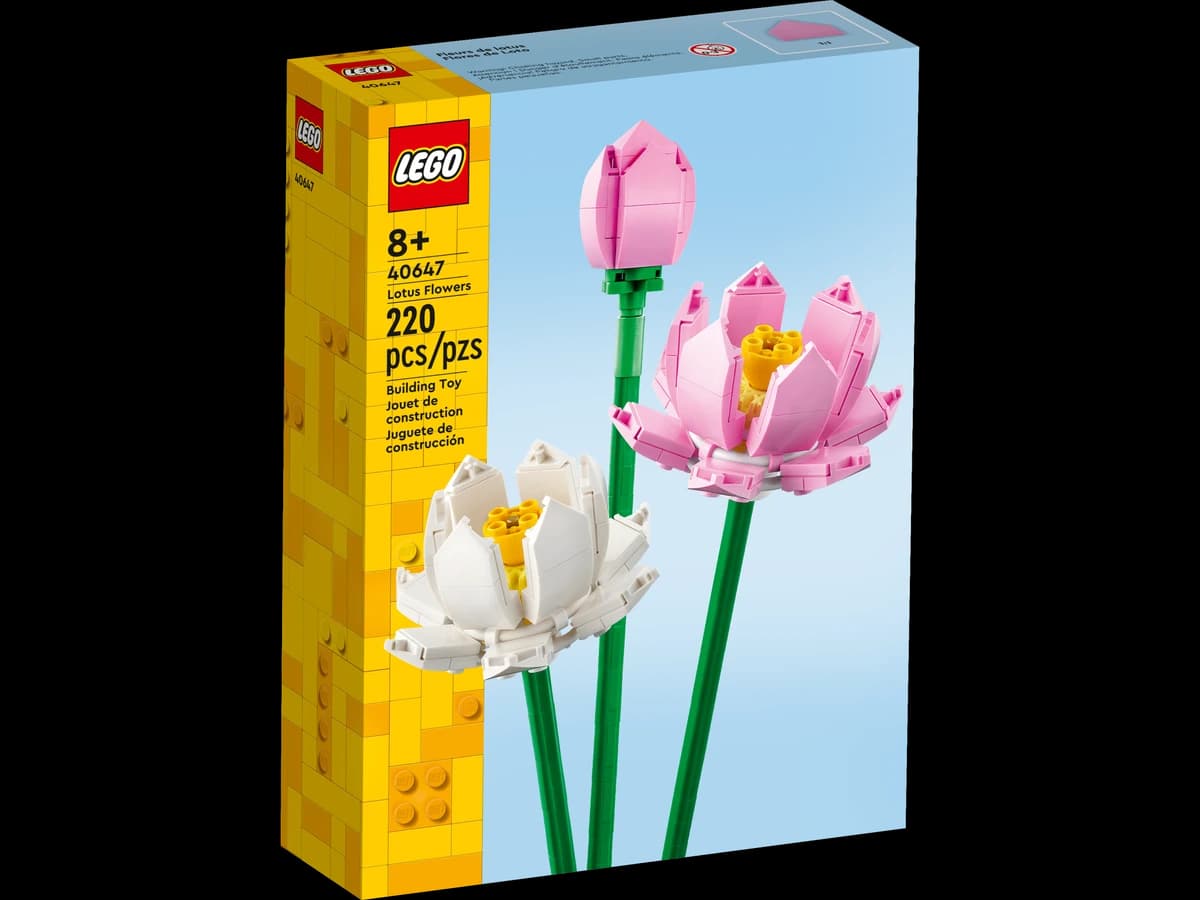 Lotus Flowers