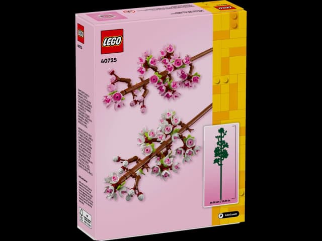 Cherry Blossoms - Image 6