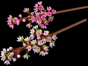 Cherry Blossoms