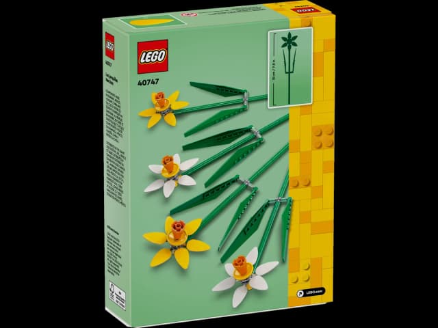 Daffodils - Image 4
