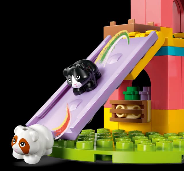 Guinea Pig Playground - Image 9