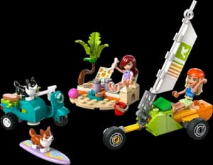 Surfing Dogs and Scooter Adventure