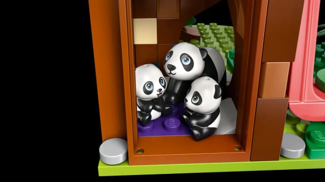 Panda Sanctuary Animal Care - Image 3