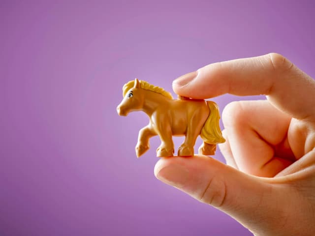 Pony Ranch & Stable - Image 4
