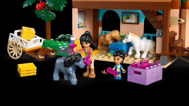 Pony Ranch & Stable - Image 8