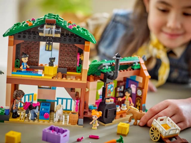 Pony Ranch & Stable - Image 3