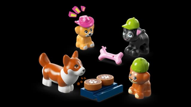 Dog Treats Bakery - Image 12