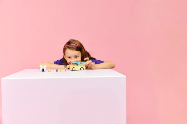 Pet Accessories Van - Image 5