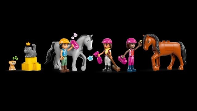 Horse Stable and Riding Academy - Image 7