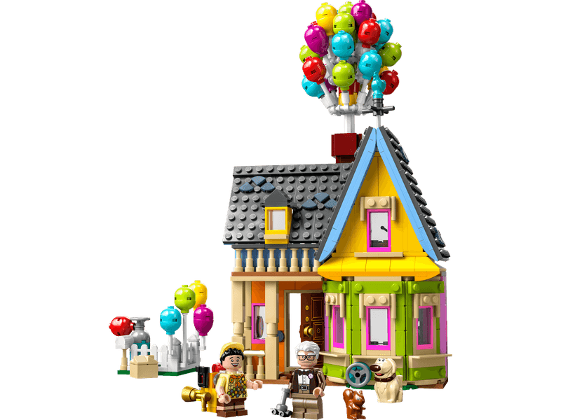 ‘Up’ House​